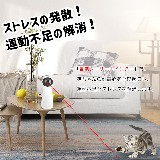 �J�[�p�i ����