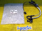 �J�[�p�i ����
