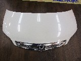 �J�[�p�i ����