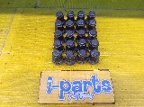 �J�[�p�i ����