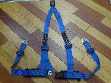 �J�[�p�i ����